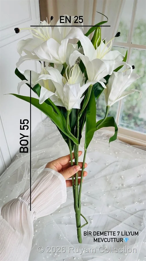 Lilyum ✨